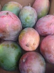 Mangos