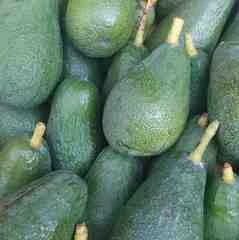 Avocats Bacon et/ou Fuerte
