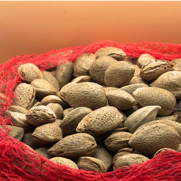 Amandes avec Coques