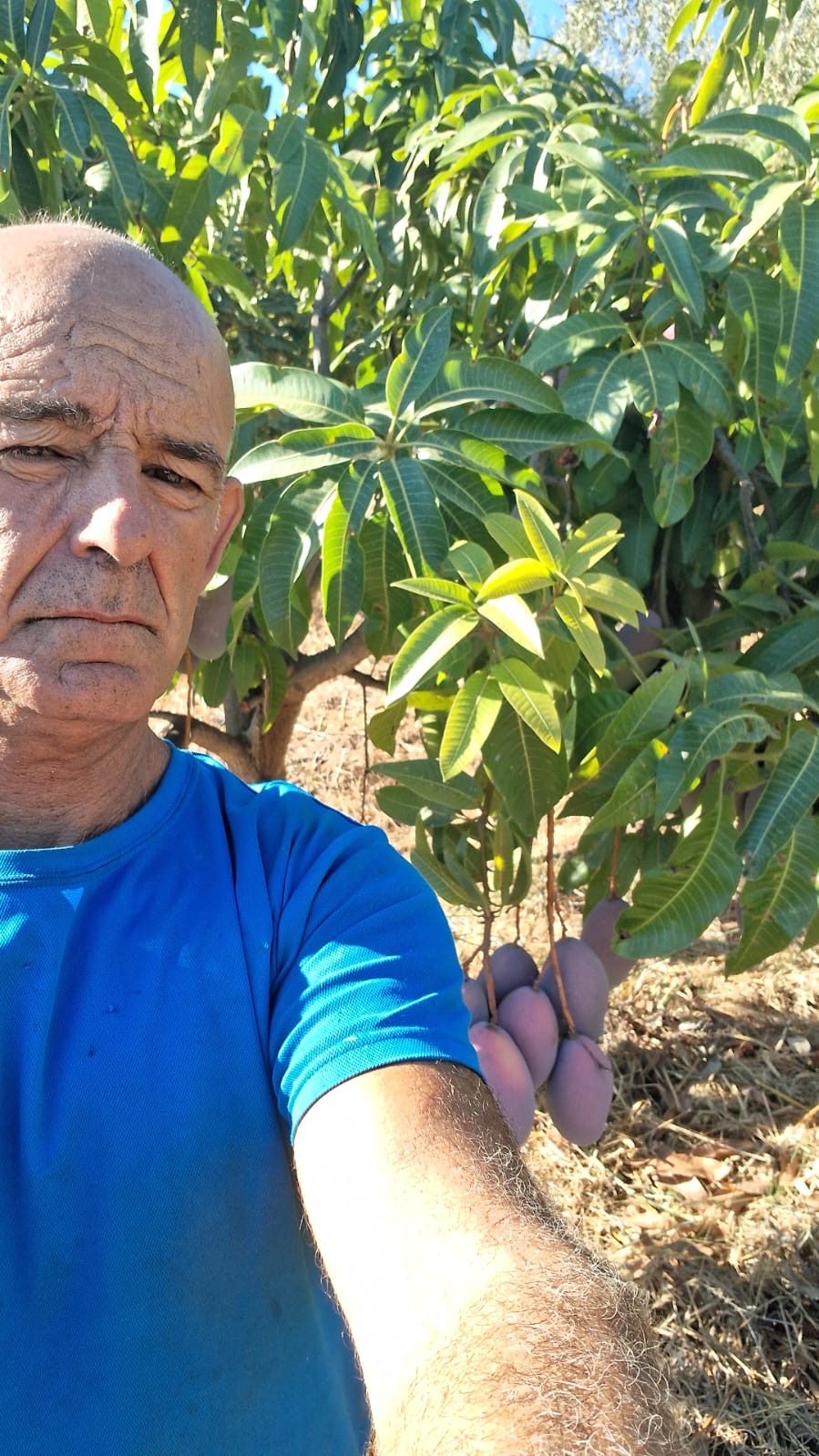 José Manuel Villonlada Reci