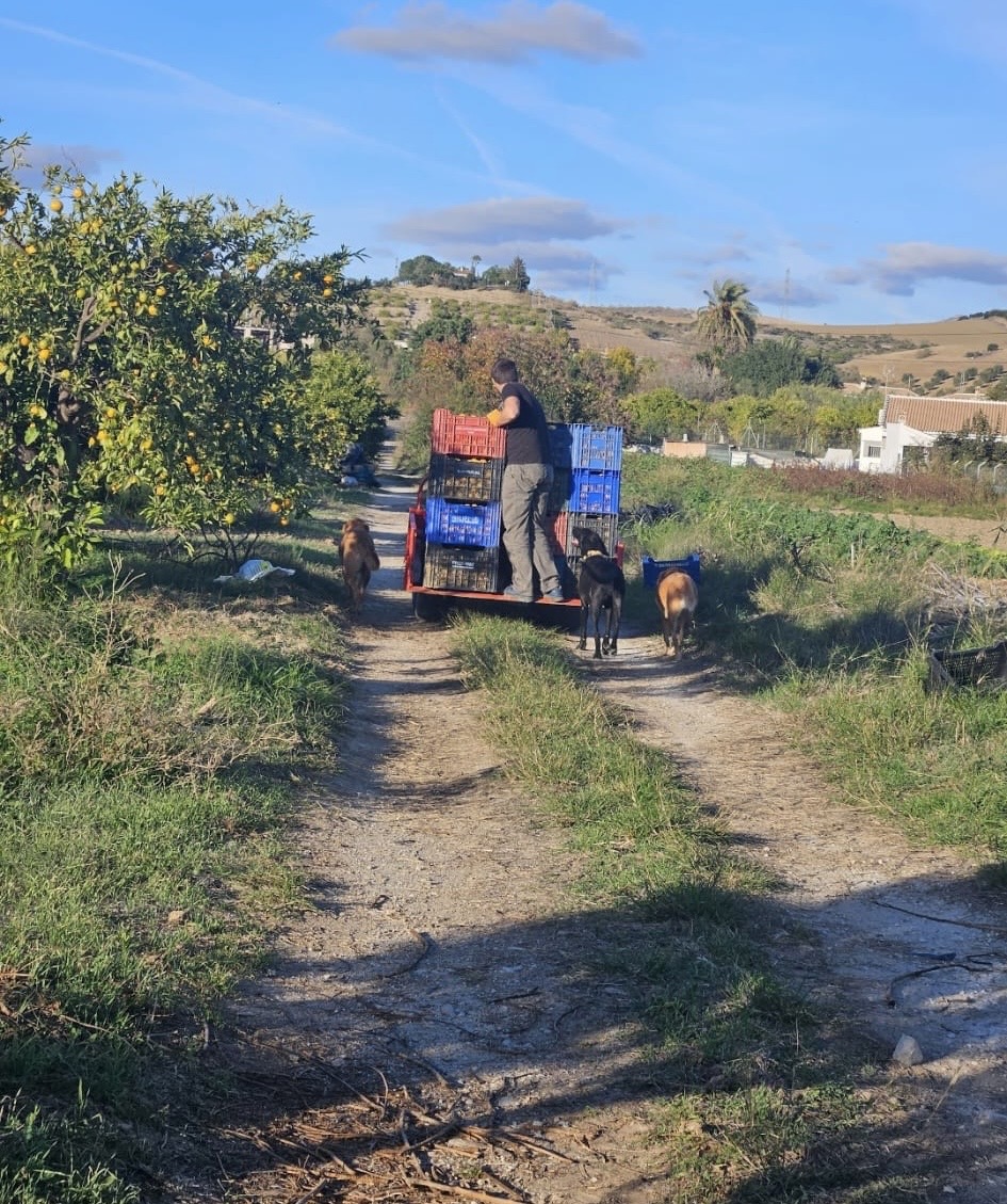 Maria Jesús Reinas Aguilar