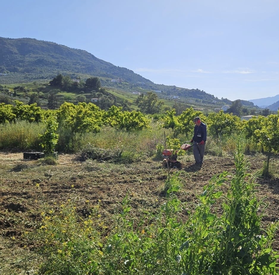 Maria Jesús Reinas Aguilar