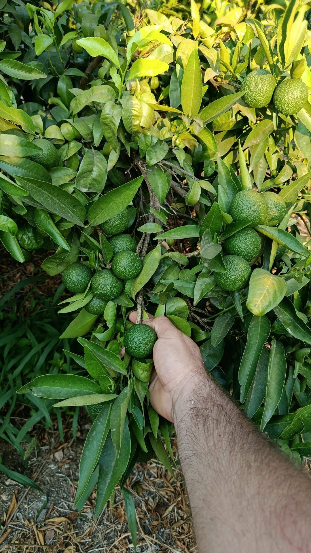 Jose Ignacio Rubio Sanchez