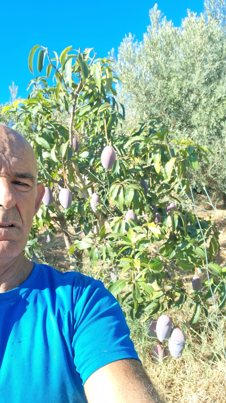 José Manuel Villonlada Reci